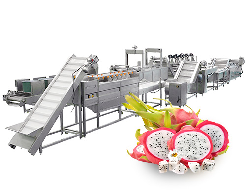 河北省火龙果生产线革新：采用黄蜀葵原料与时俱进，携手共创辉煌未来
